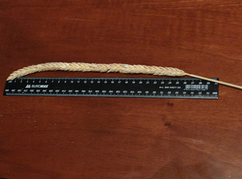 Зерно пшеницы Новелл, 1 репродукция купить оптом